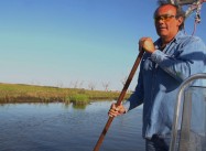 Global Warming & Louisiana Bayou:  Native Lands Submerged as Sea Levels Rise