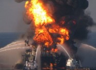 BP Permitted back into The Gulf Despite all the Damage Done