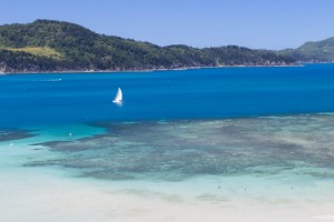 Hamilton Island Reef.