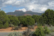 bears ears