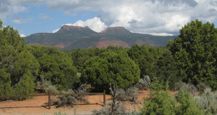 bears ears