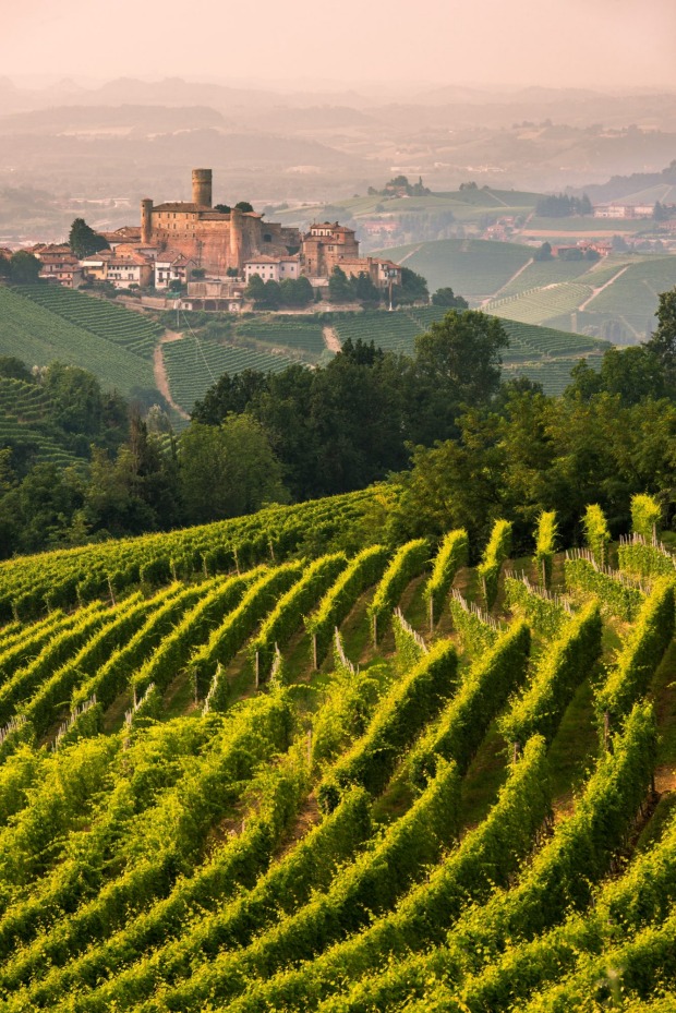 Piedmont's Langhe are is known for its charming towns and scenic vineyards.