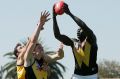North Melbourne's Majak Daw in action for Werribee.