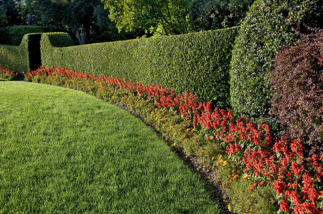 Ben Hedge Trimming - Services - Landscaping in CAULFIELD SOUTH VIC