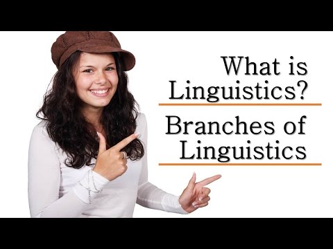 What is Linguistics? | Definition and Branches of Linguistics