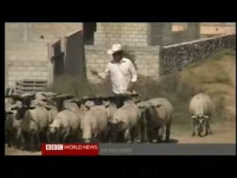 Latin America's Economic Boom Explained 2 of 2 - BBC News and Documentary