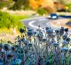 A cold Saturday morning in Keilor on Saturday 1 July 2017. THE AGE /LUIS ENRIQUE ASCUI