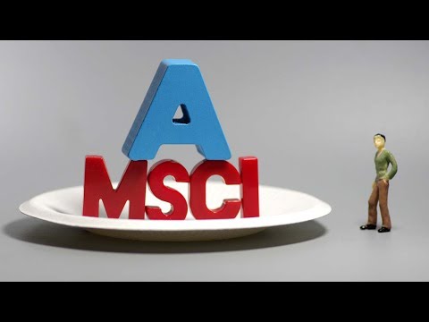 What is the MSCI?