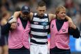 Joel Selwood of the Cats comes off the ground after he was knocked against Fremantle. 