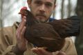 Brian Caraker believes in singing to his chickens.
