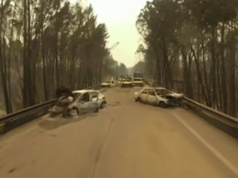 Drone Shows Destruction of Deadly Portugal Fire