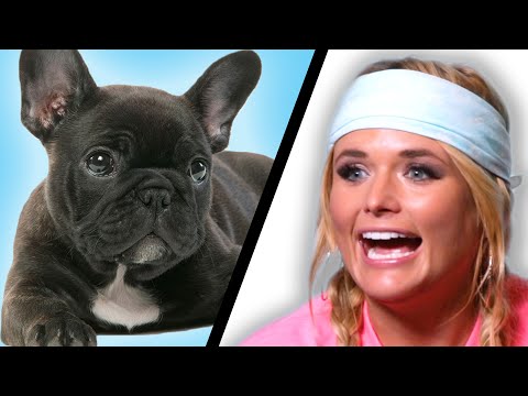 Miranda Lambert Plays With Puppies (While Answering Fan Questions)