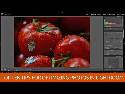 Top 10 Tips For Optimizing Photos in Lightroom