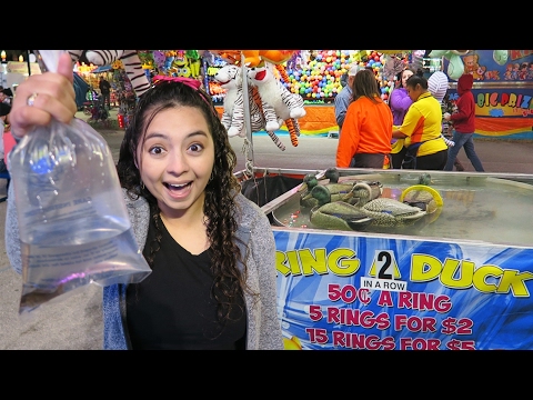 Florida State Fair Carnival Games!