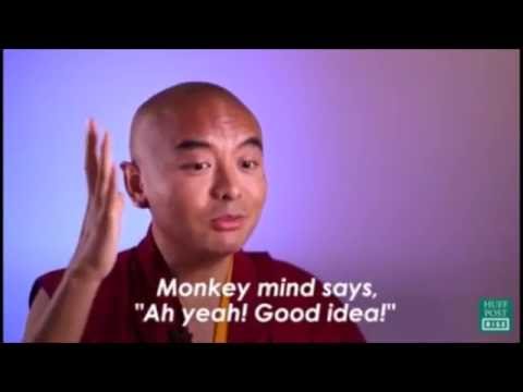 Buddhist Monk shares his Secrets of Meditation