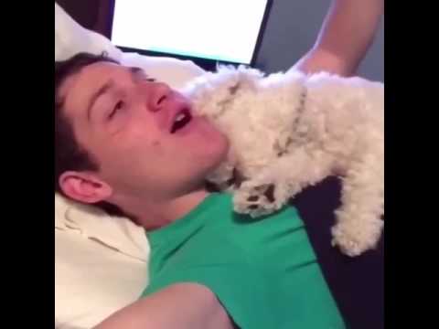 BEST DOG EVER COMPILATION! || PATRICK BARNES AND QUINCY VINES