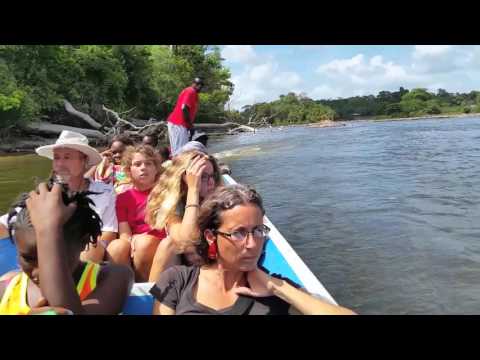 Dugout Ride Up the Suriname River