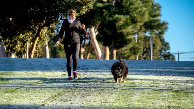 A woman walks her dog in Keilor during the weekend chill.