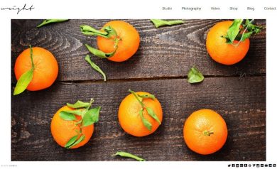 Wordpress Portfolio Themes