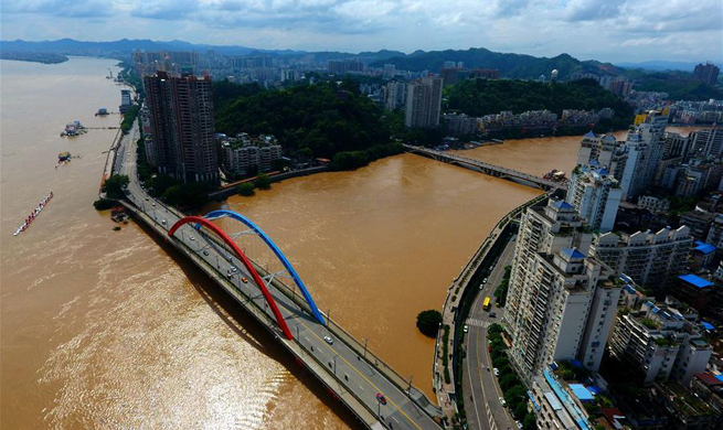 Water level of Xijiang River reaches 23.10 meters in China's Guangxi