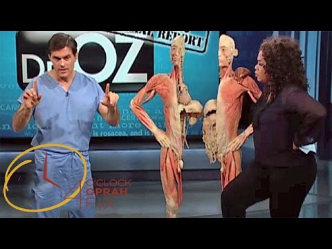 How the Human Body Deals with Stress | The Oprah Winfrey Show | Oprah Winfrey Network