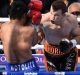 Man v mountain: Manny Pacquiao and Jeff Horn trade blows. 