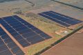 AGL's Nyngan Solar Plant near Dubbo in 2015.