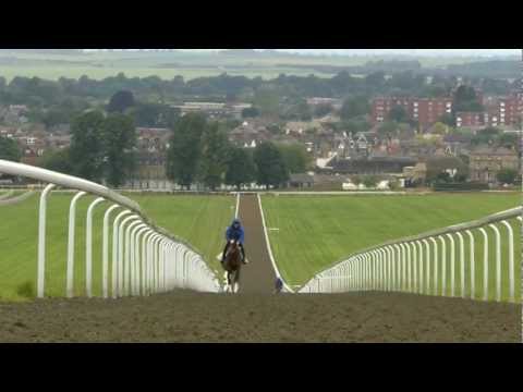 Newmarket - Made for the Racehorse (Short version)