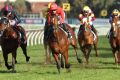 Making his move: Hugh Bowman gets closer to the jockeys' title by taking out the Civic Stakes on Gold Symphony at ...