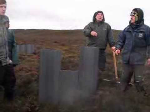 Simonside - Protecting the bogs - a European Special Area of Conservation