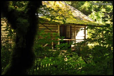 private sex cabin in the woods