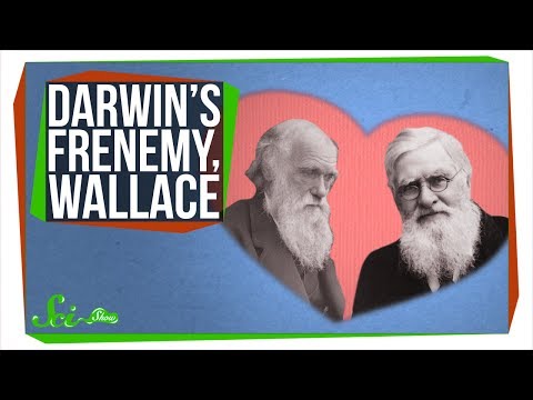 Wallace, Darwin's Forgotten Frenemy