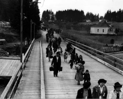 Bainbridge Evacuation Dock 1_4b5d9.jpg