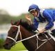 Good change: Winx is likely to target the Craven Plate on Everest day, which part of the changes to the spring program