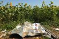 A piece of plane debris from MH17, which crashed over Donetsk, Ukraine.