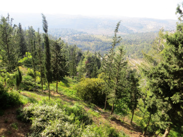 yad vashem vista