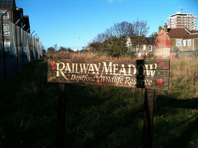 Deptford Meadow