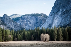 Yosemite