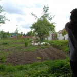 Ljubljana_Community_Gardens