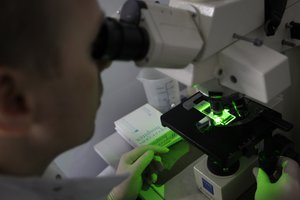 A research team member looks through a microscope of bacteria use for producing anti-body against malaria at Westminster University in London, Tuesday, March 15, 2011.