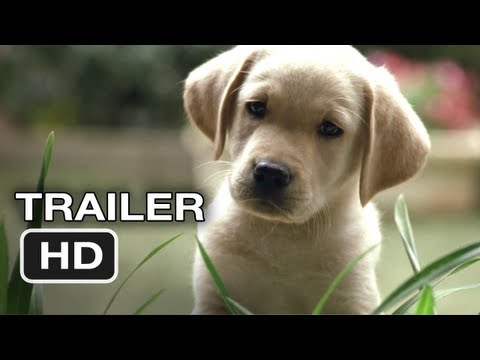 Quill The Life of a Guide Dog Official Trailer #1 (2012) HD Movie