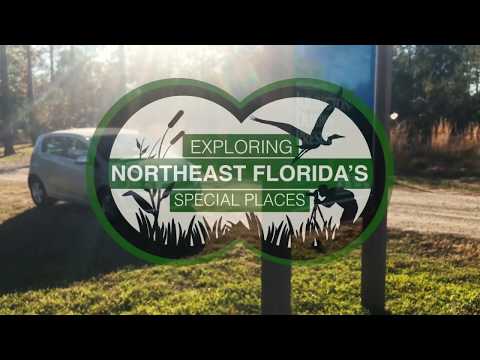 Exploring Northeast Florida's Julington Durbin Creek Preserve