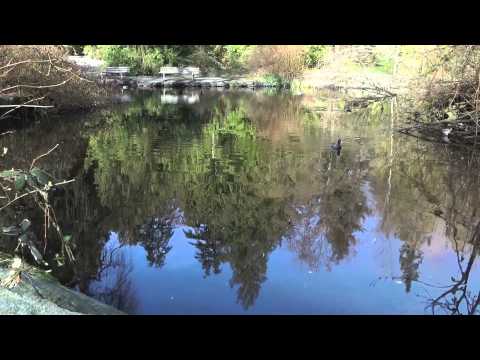 Documentary on Stanley park, Vancouver, British Columbia, Canada