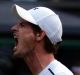 Andy Murray celebrates after winning against Fabio Fognini.