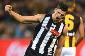 Mr Consistency: Collingwood's Scott Pendlebury will play his 250th game on Sunday.