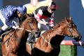 Lone Eagle riden by Damien Oliver (L) wins race one the Schweppes Handicap from Evil Cry on Caulfield Race Day at ...