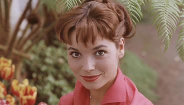 Elsa Martinelli (Ralph Crane / The LIFE Picture Collection / Getty Images)