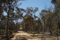 A father and son feared missing in a state forest in the Wheatbelt have been found.