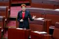 Out on a limb: Senator Pauline Hanson debating in the Senate. 