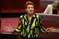 Senator Pauline Hanson in the Senate on Thursday.